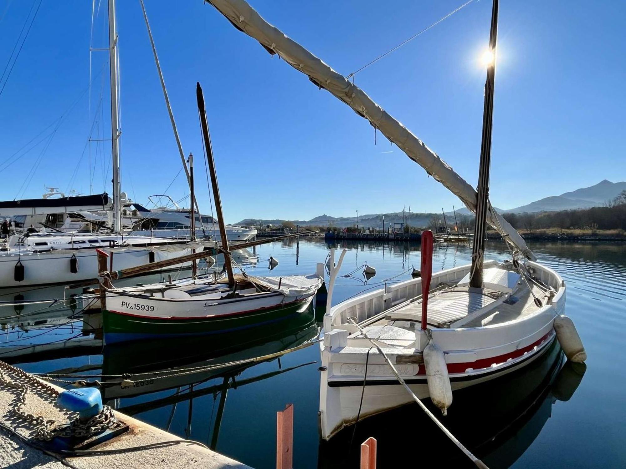 Appartement 2 Pieces, Balcon, Proche Plage Et Commerces, Quartier Calme - Argeles-Sur-Mer - Fr-1-225-685 Luaran gambar